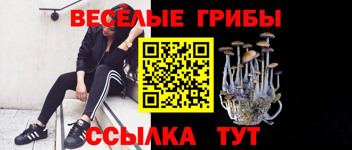 Белгород  Псилоцибиновые грибы Psilocybe  Вход с VPN 